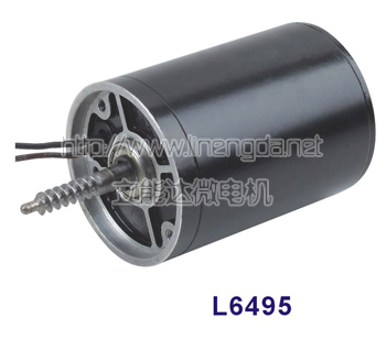 L6495