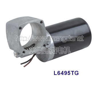 L6495TG